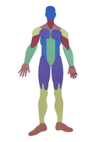 Pěnové lidské tělo